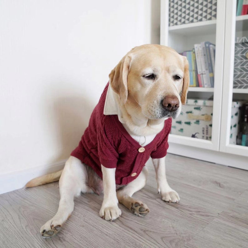 Big dog clearance sweater