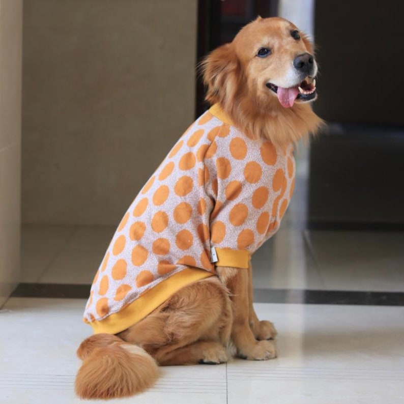 Polka dot deals dog sweater