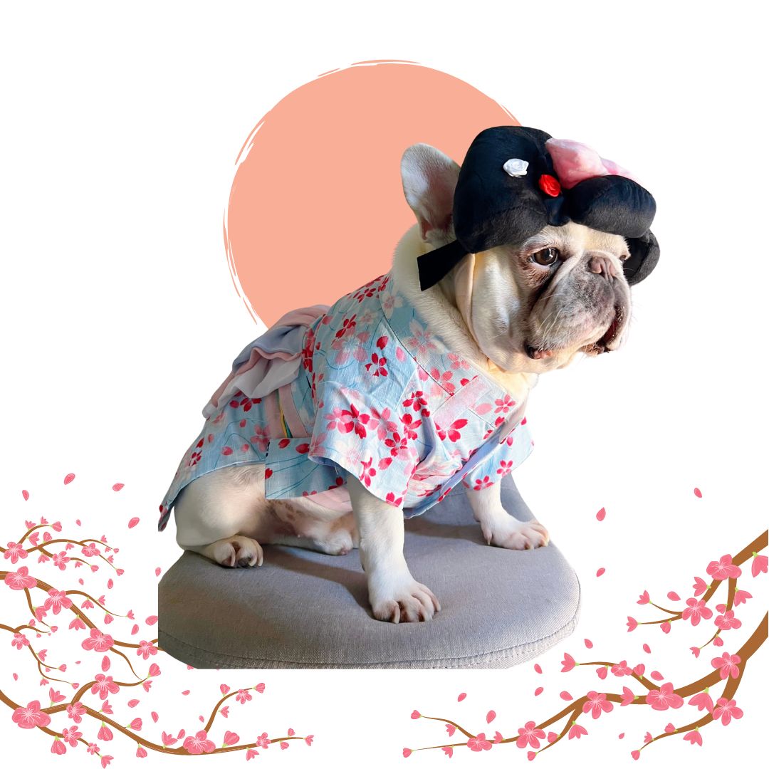 Japanese Kimono Dog Cat Pet Halloween Costume