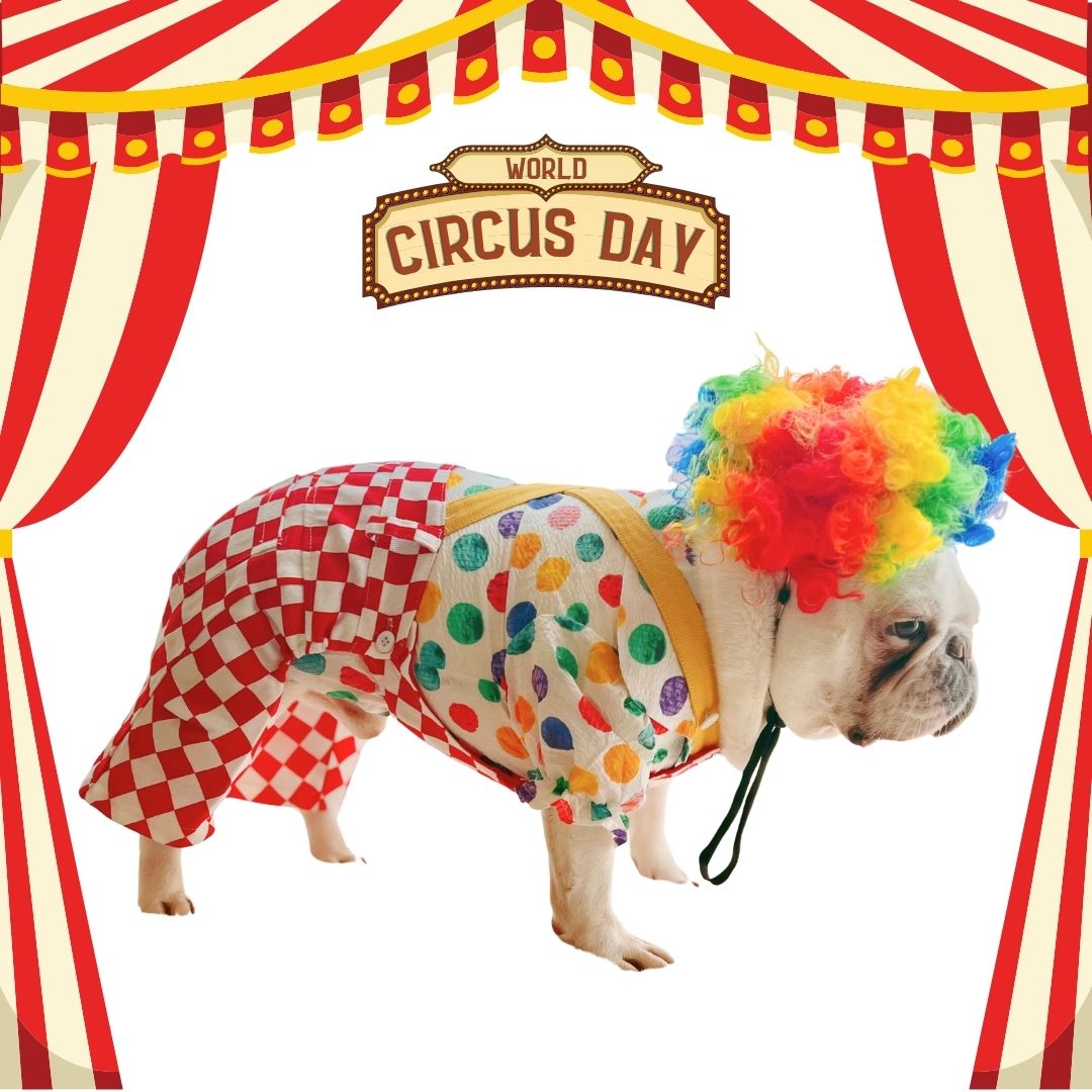 Halloween Carnival Clown Pup Pet Dog Cat Costume