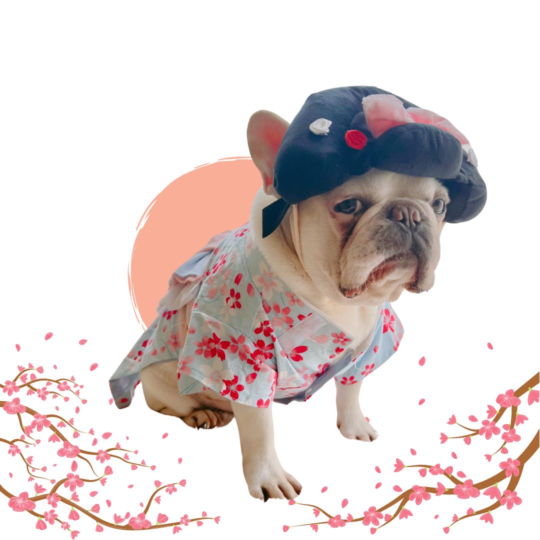 Japanese Kimono Dog Cat Pet Halloween Costume