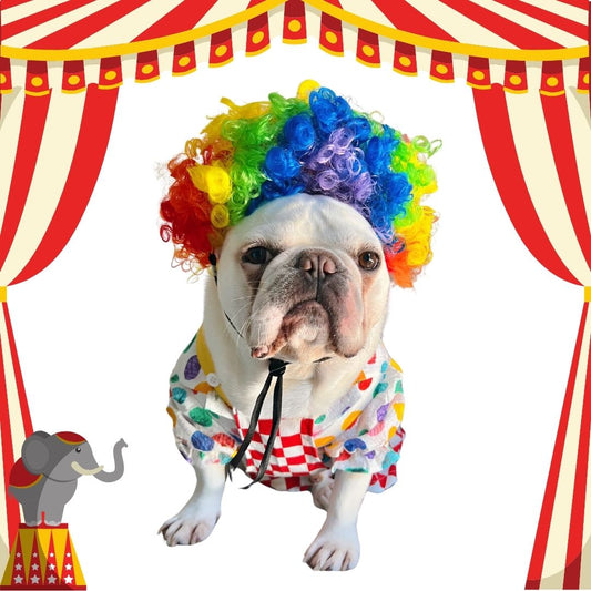 Halloween Carnival Clown Pup Pet Dog Cat Costume