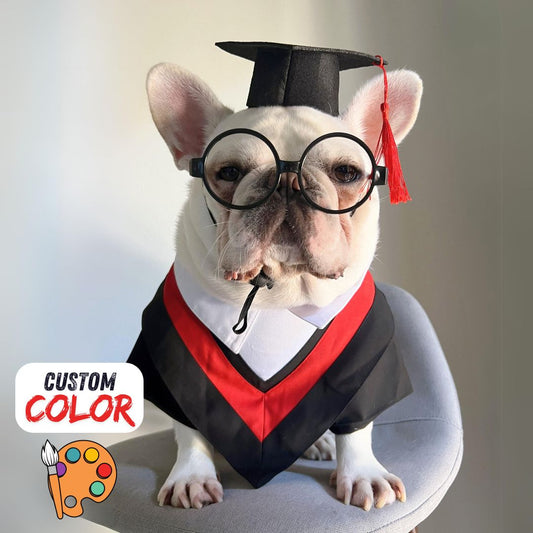 Pet Cat Dog Graduation Gown Paws of Honor Graduation Costume