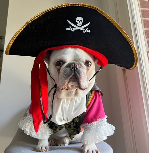 Carribean Pirate Dog Cat Pet Halloween Pink Renaissance Costume