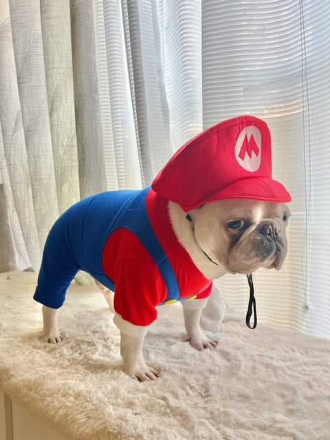 Super Mario Brother Dog Cat Pet Halloween Costume