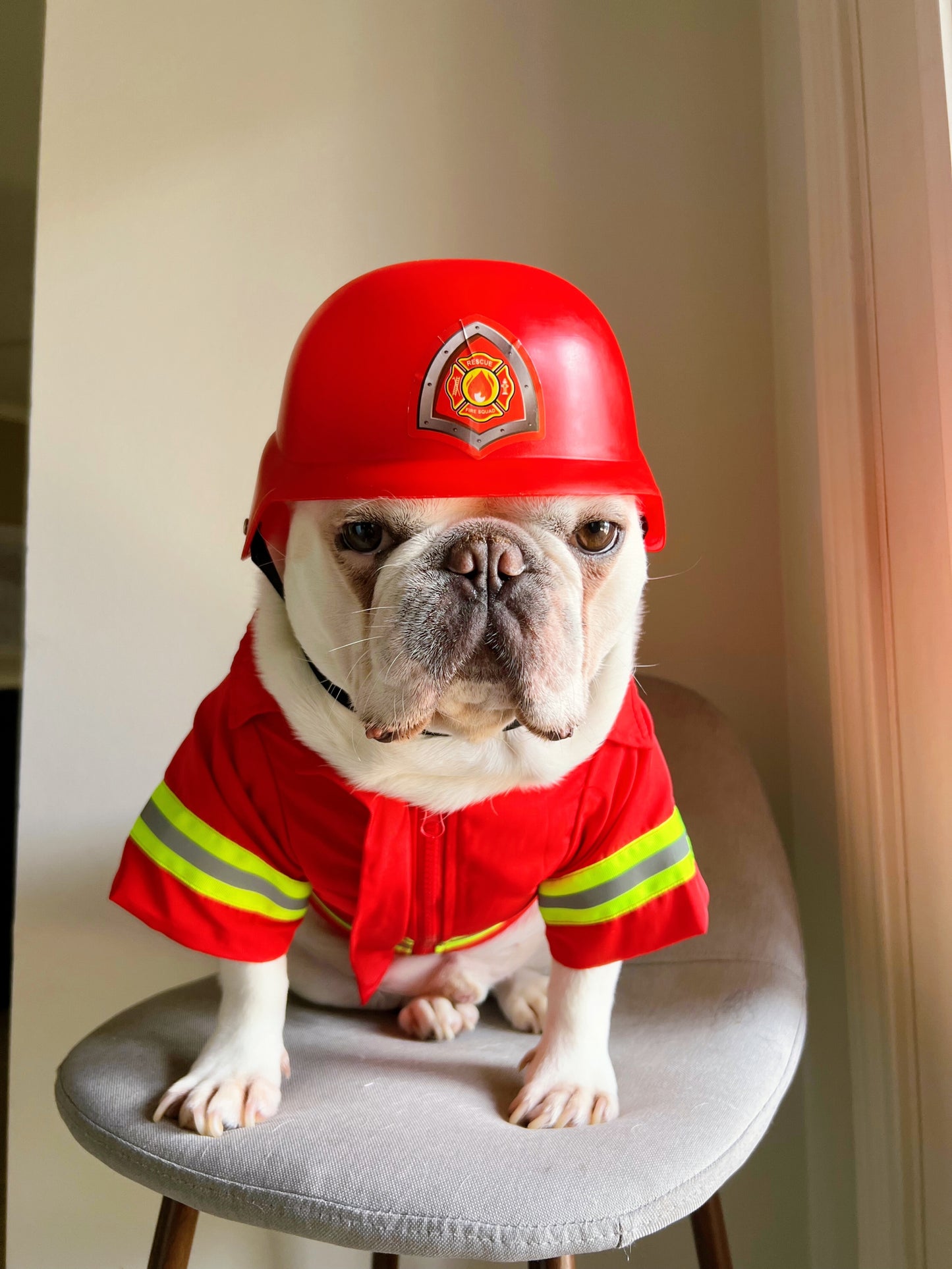 Firefighter Reflective Fire Chief Role Play Pet Cat Dog Halloween Costume