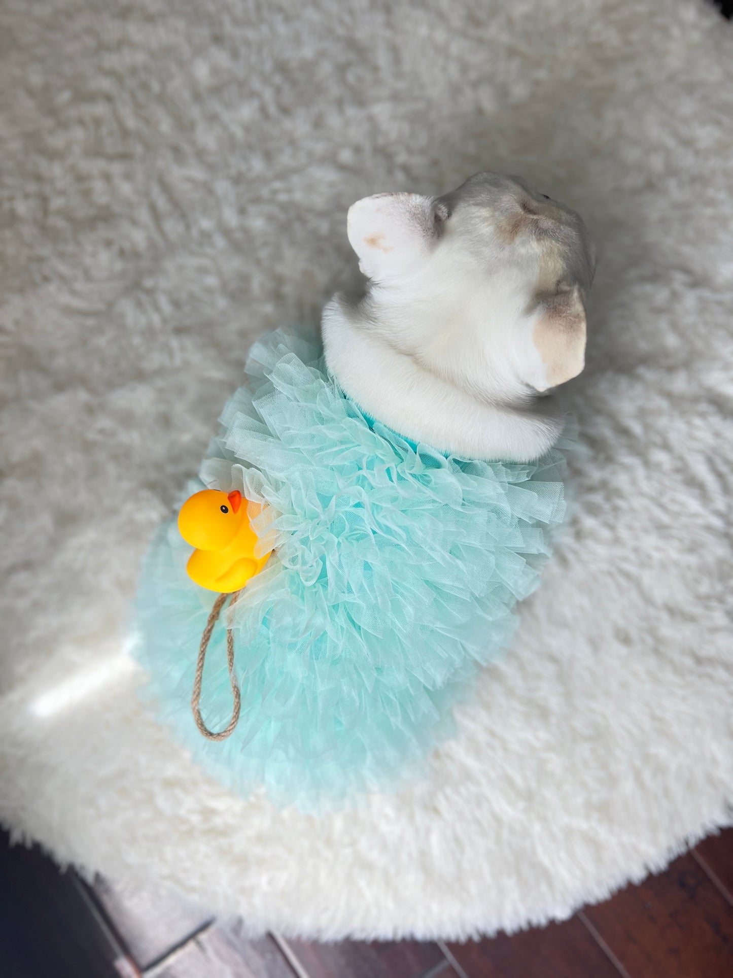 Bath Time Loofah Shower Puff Pet Dog Cat Costume