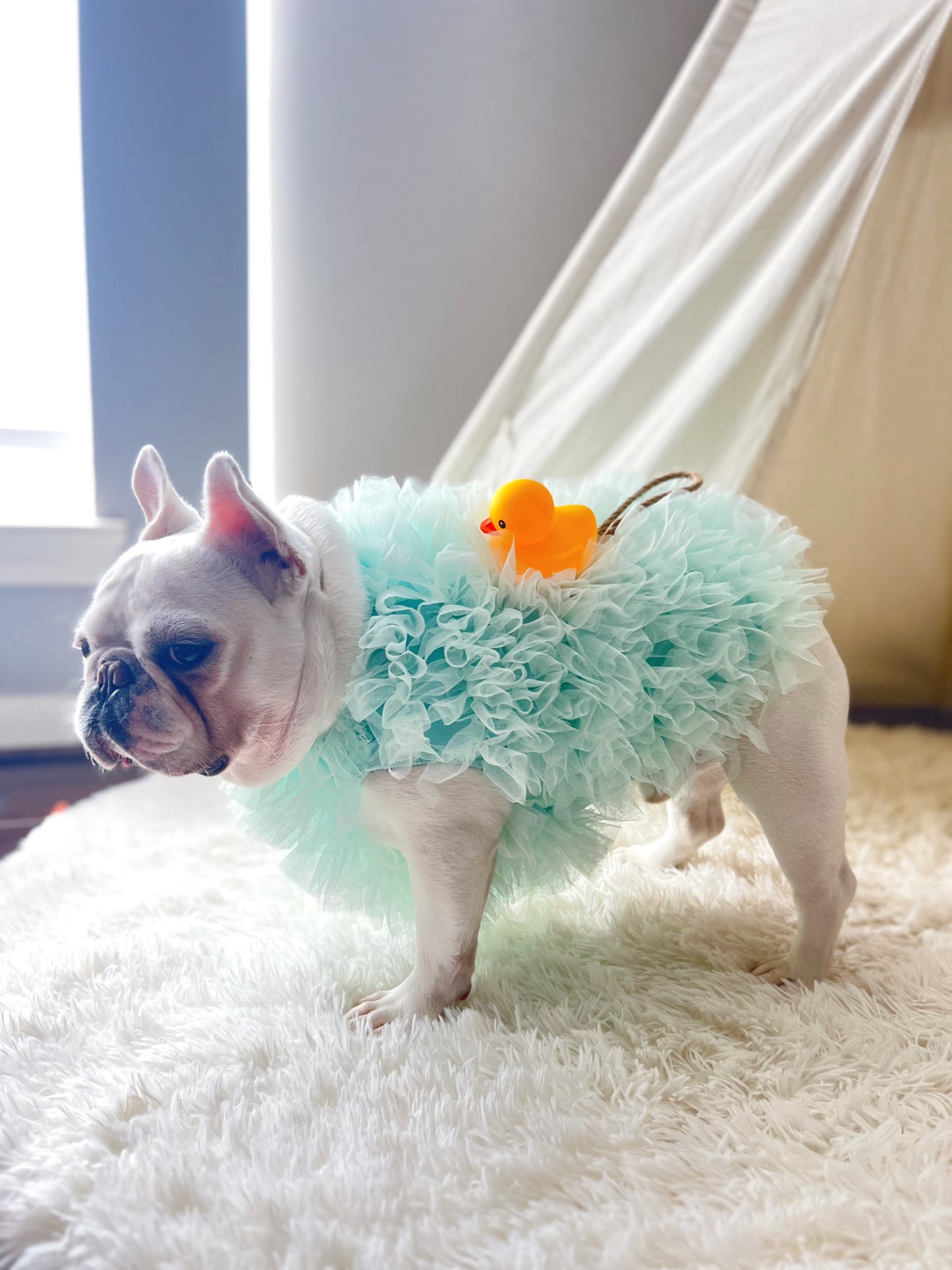 Bath Time Loofah Shower Puff Pet Dog Cat Costume