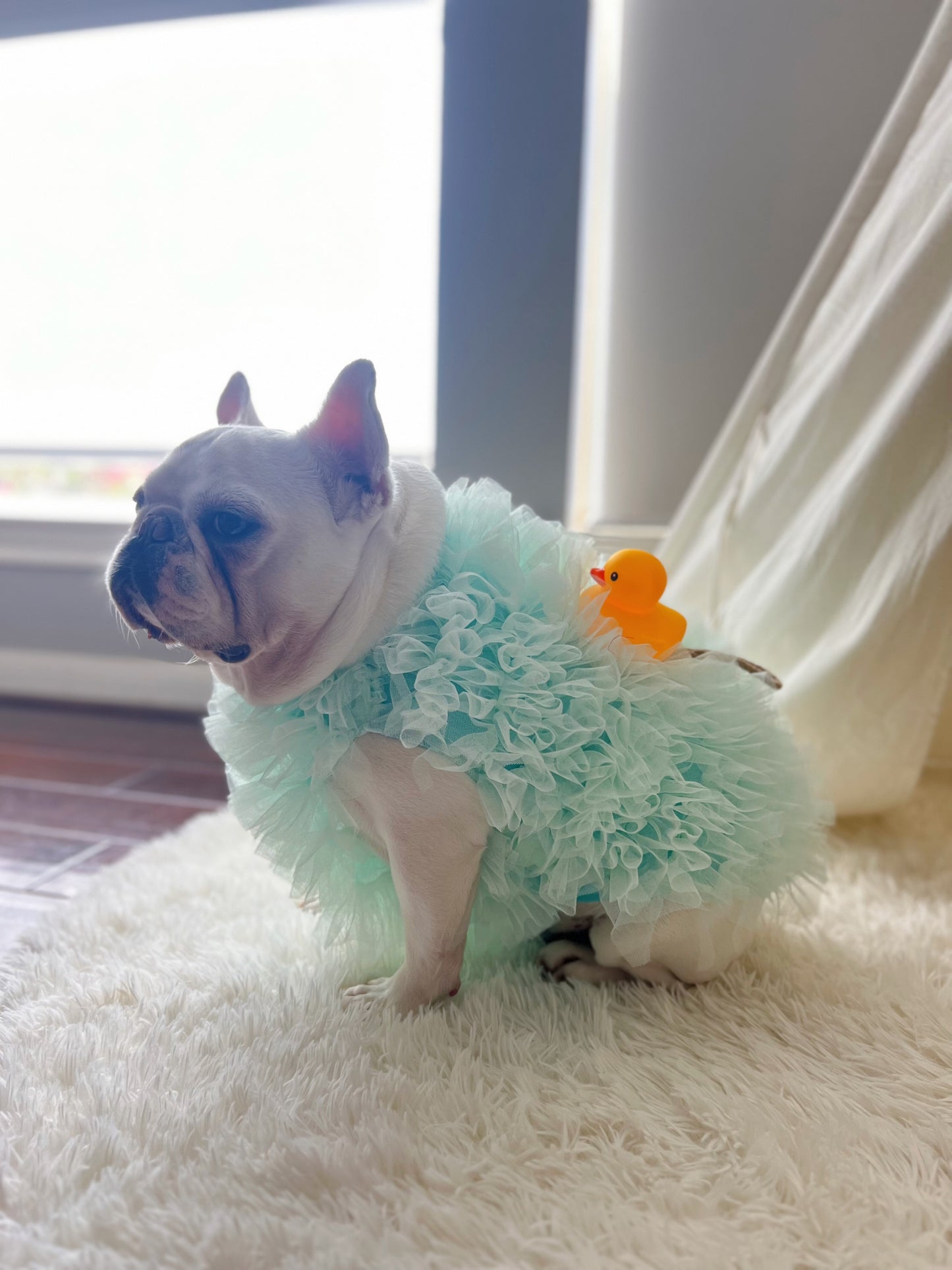 Bath Time Loofah Shower Puff Pet Dog Cat Costume