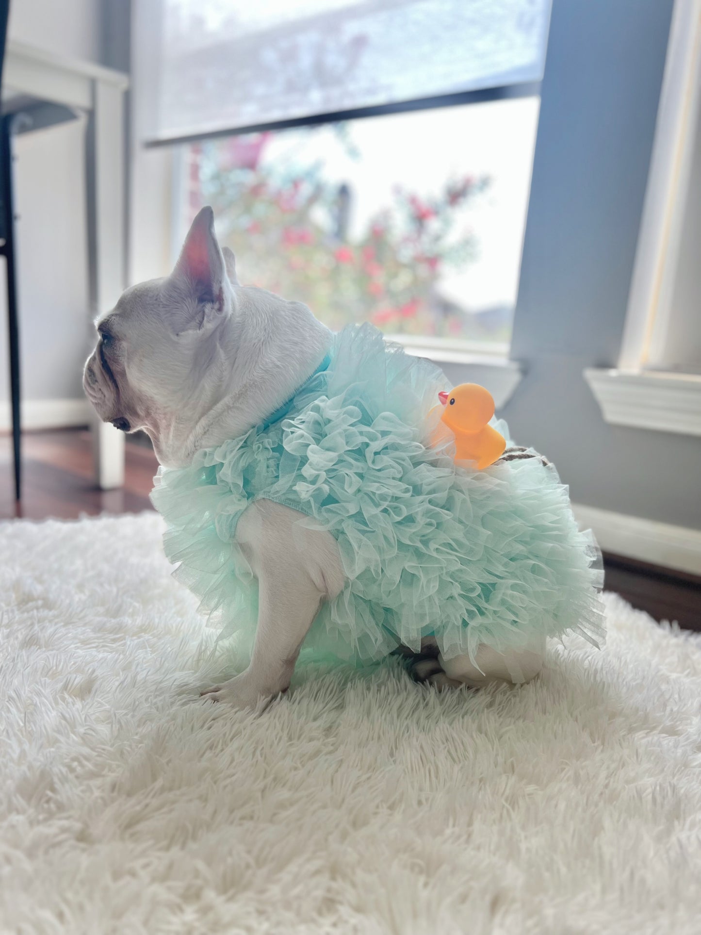 Bath Time Loofah Shower Puff Pet Dog Cat Costume