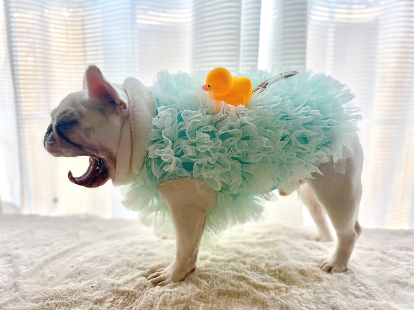 Bath Time Loofah Shower Puff Pet Dog Cat Costume