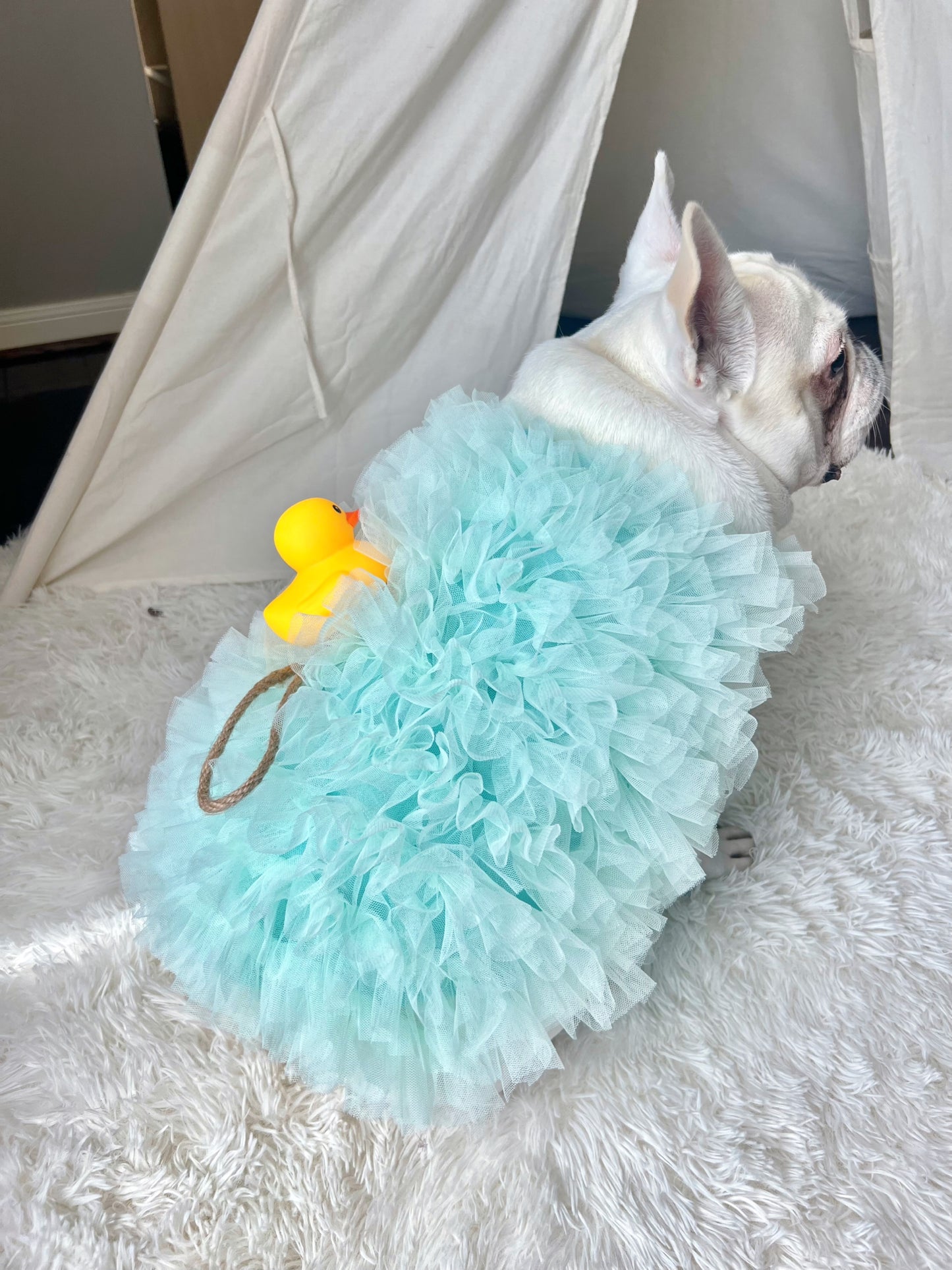 Bath Time Loofah Shower Puff Pet Dog Cat Costume