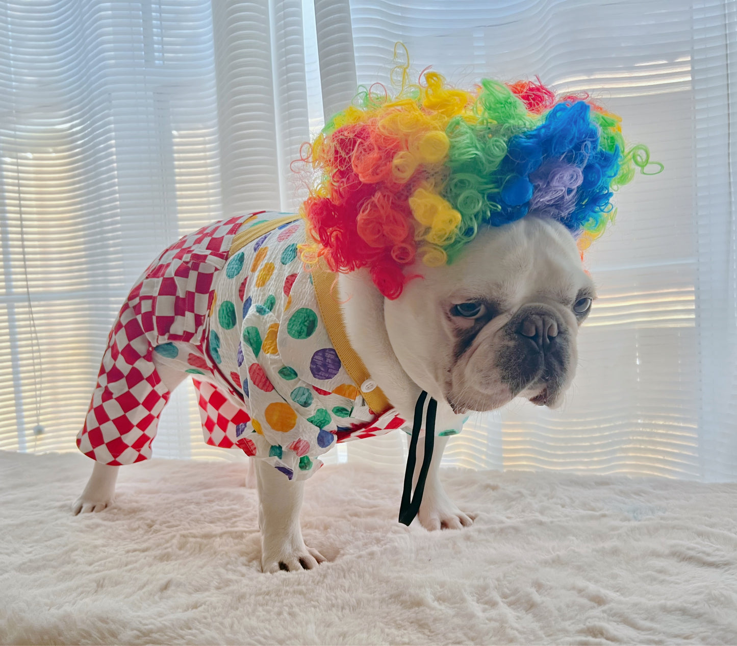 Halloween Carnival Clown Pup Pet Dog Cat Costume