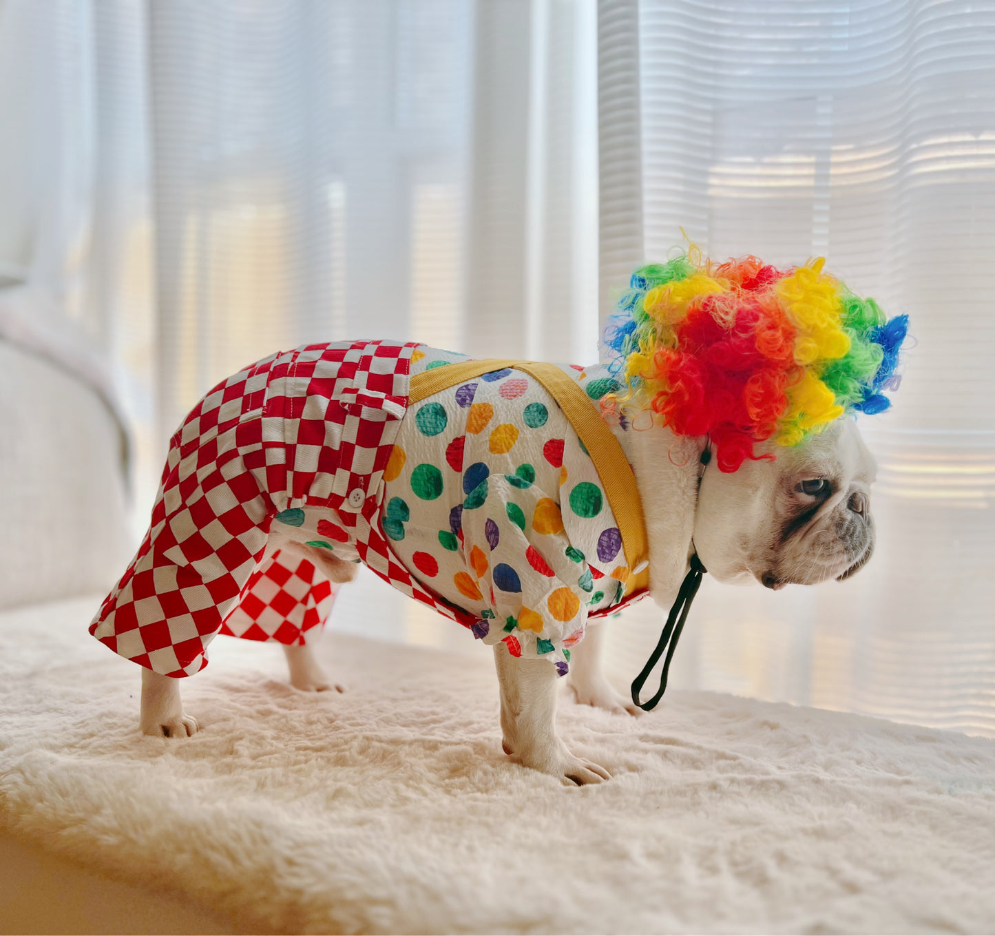 Halloween Carnival Clown Pup Pet Dog Cat Costume