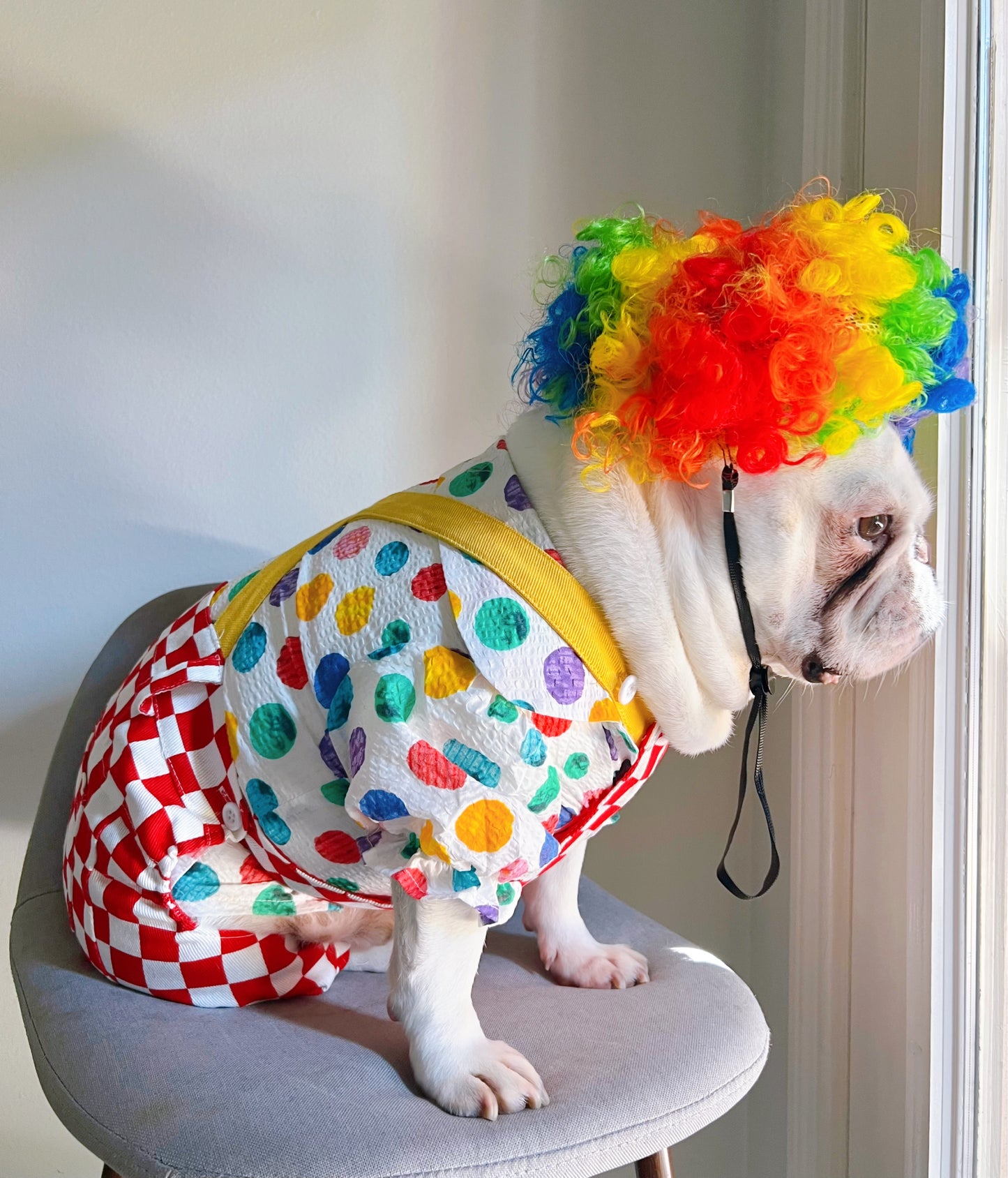 Halloween Carnival Clown Pup Pet Dog Cat Costume