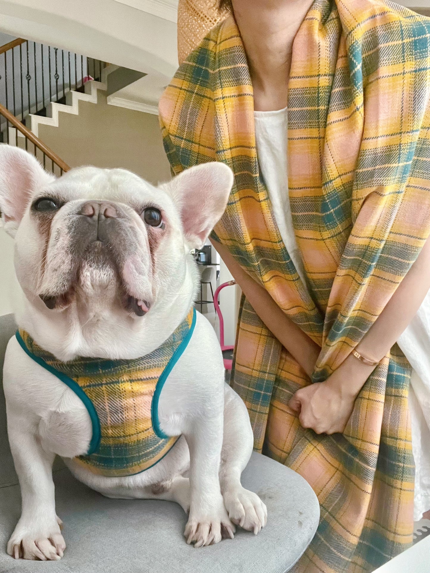 Pet and Owner Matching Shawl and Hardness