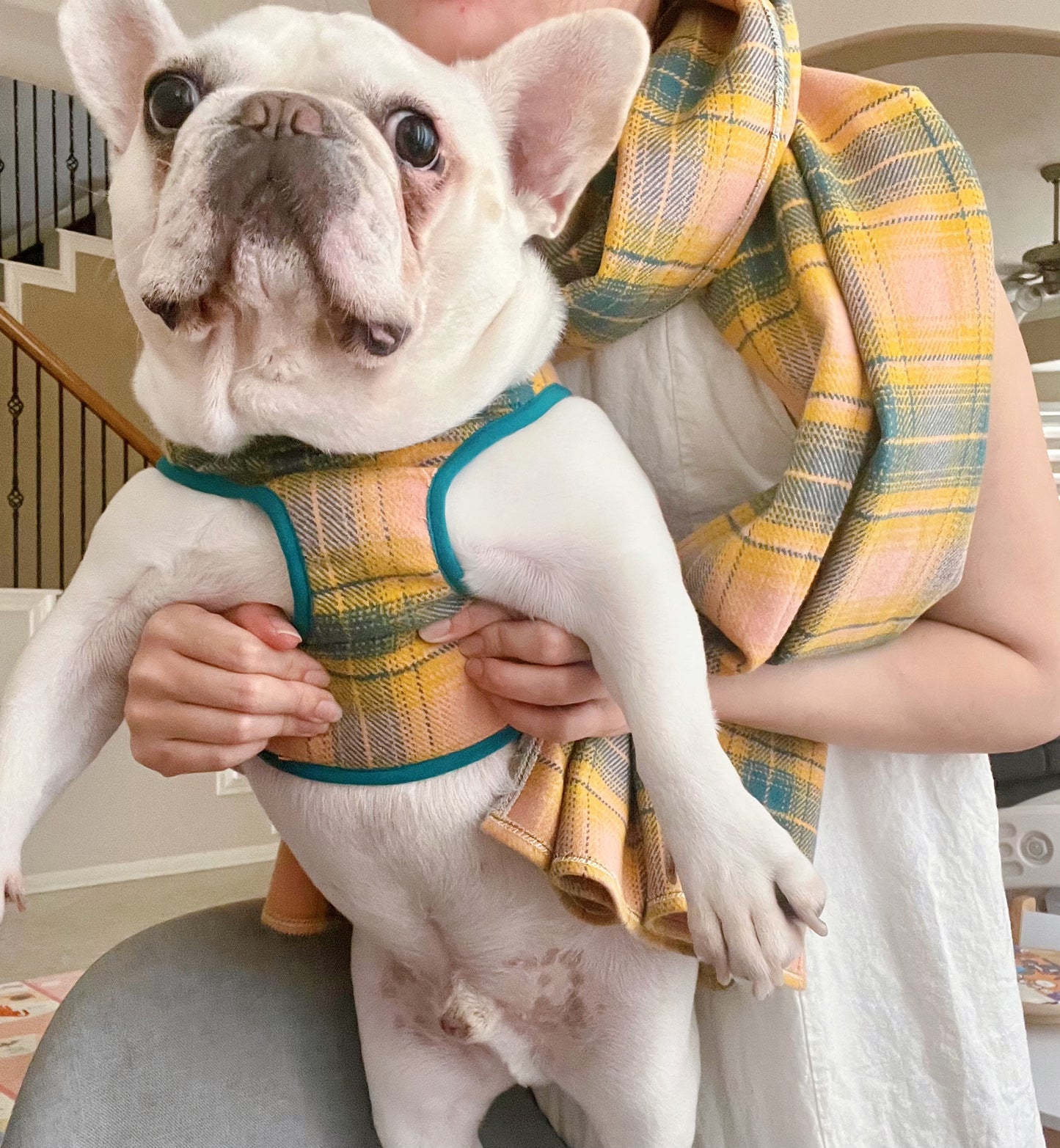 Pet and Owner Matching Shawl and Hardness