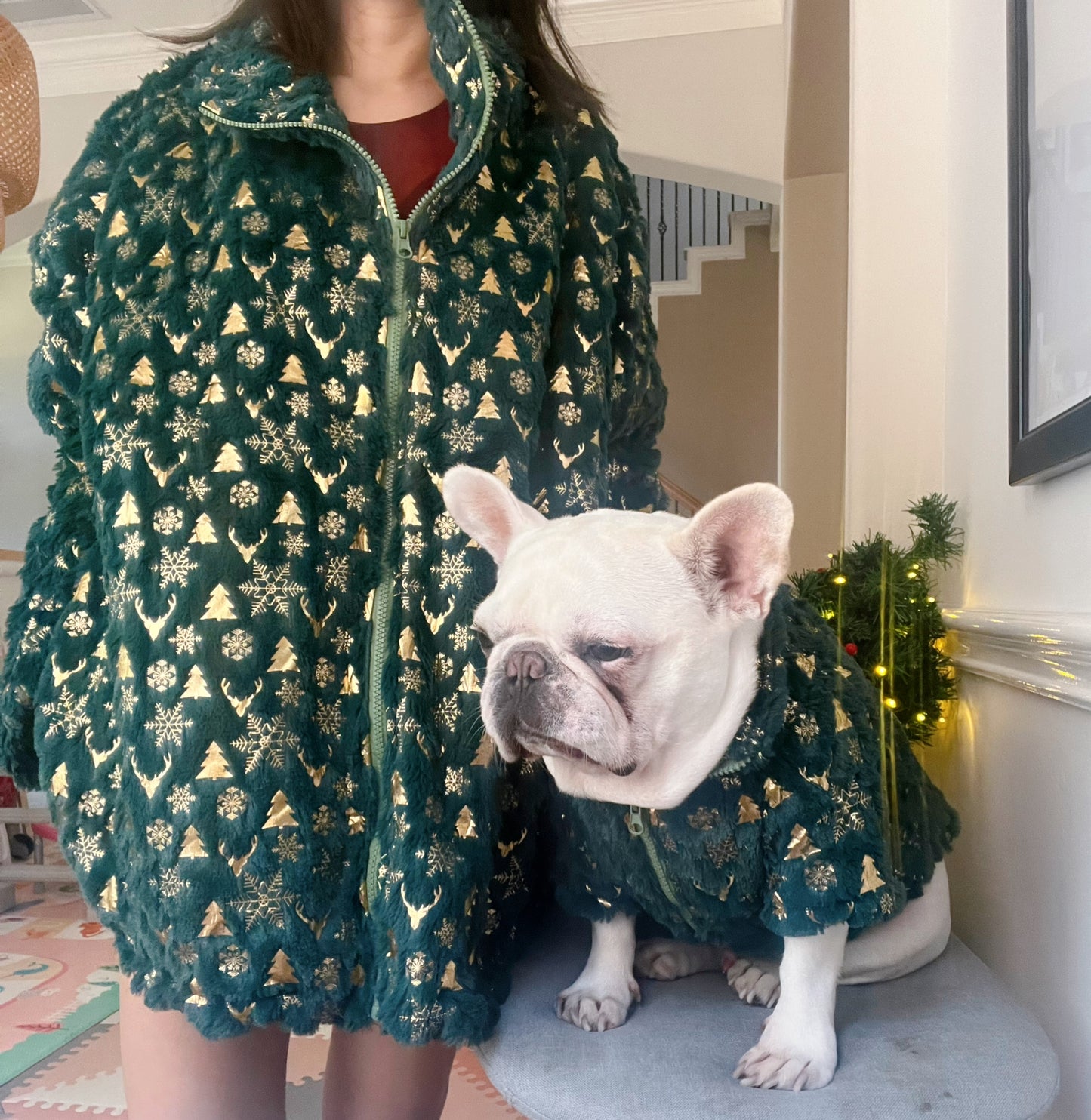 Christmas Fluffy Holidays Green and Gold Owner Cardigan and Pet Matching Set