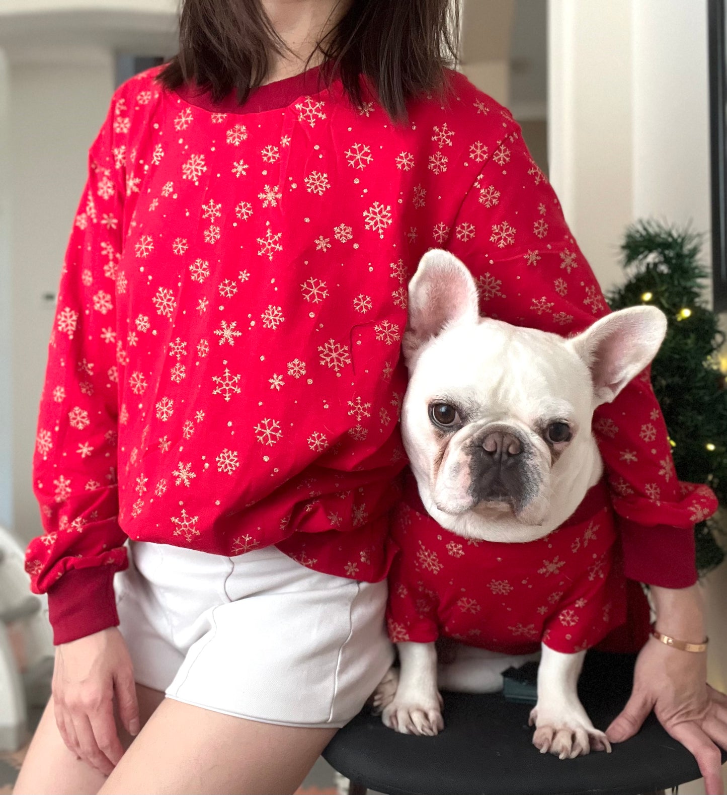 Red Gold Snowflakes Christmas Owner and Pet Family Matching