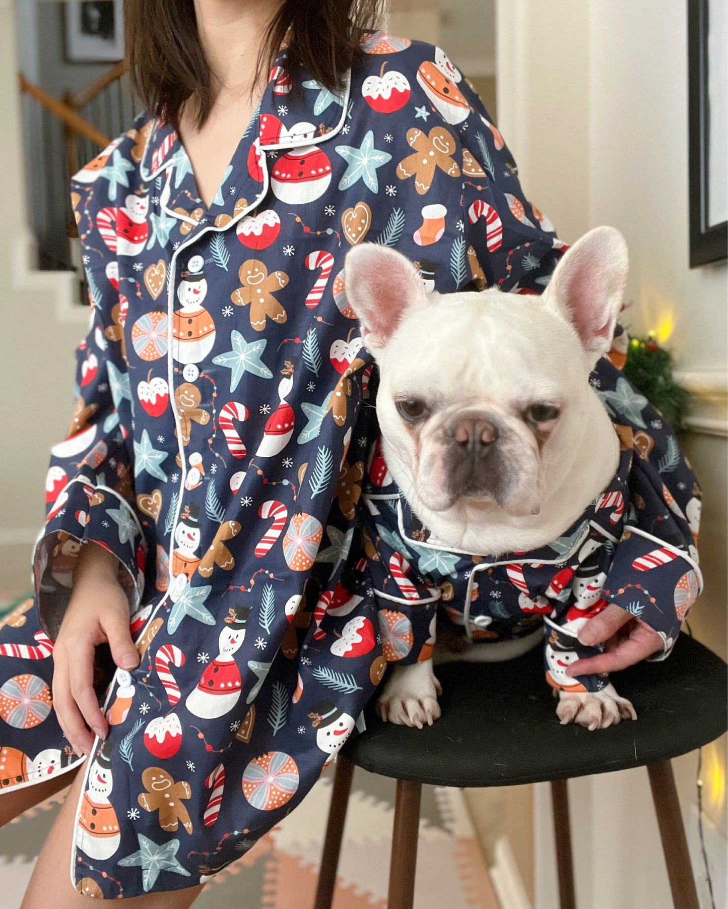 Gingerbread Man Christmas Pet and Owner Family Matching Button Shirts