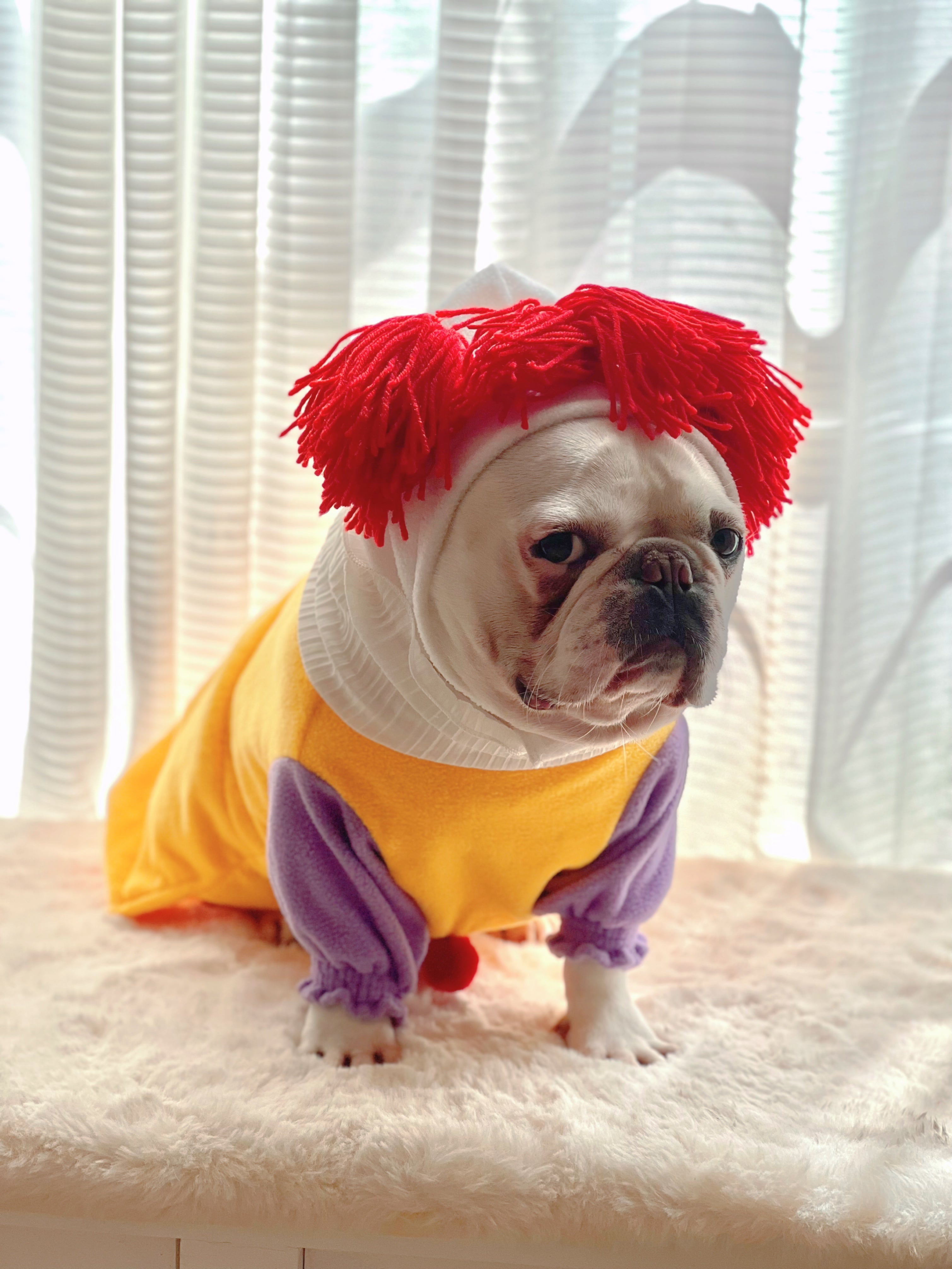 Pennywise shop bulldog costume