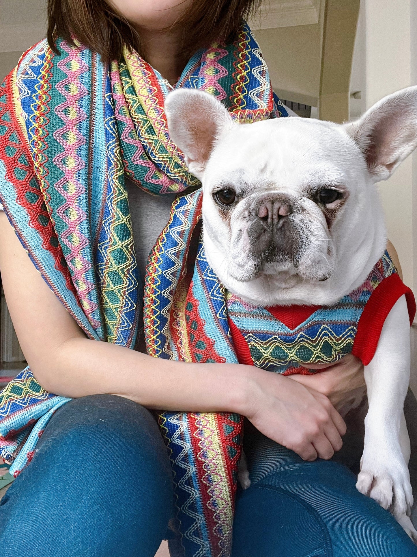 Pet and Owner Matching Shawl and Cloth