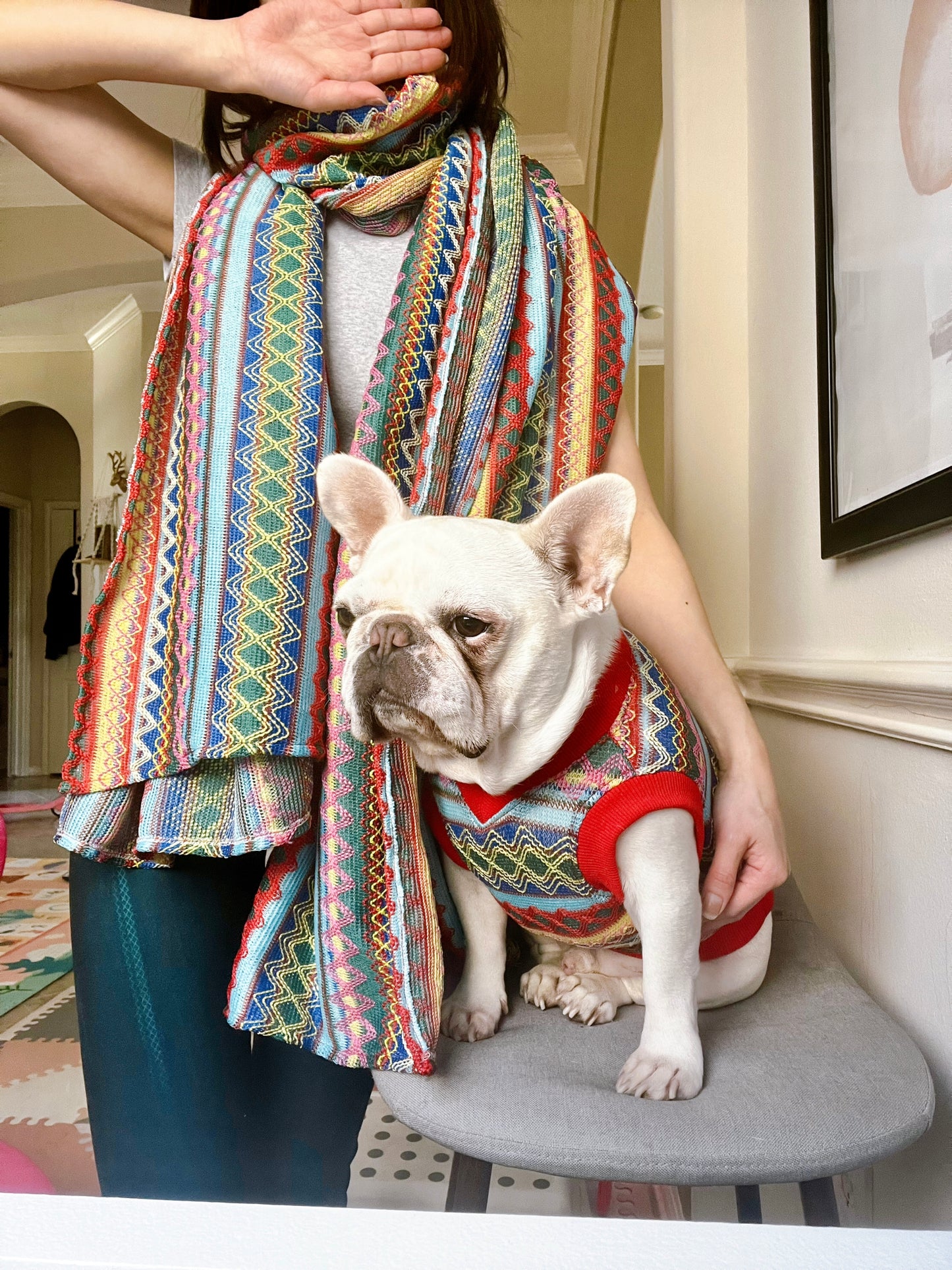 Pet and Owner Matching Shawl and Cloth