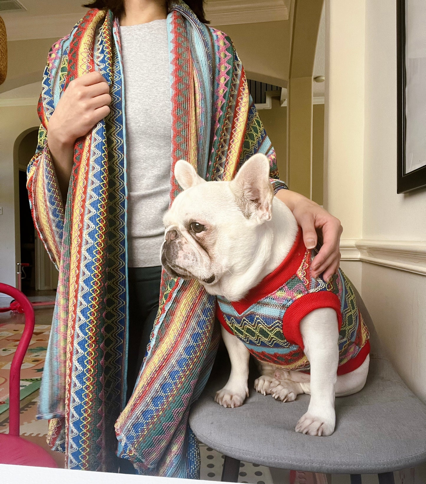 Pet and Owner Matching Shawl and Cloth