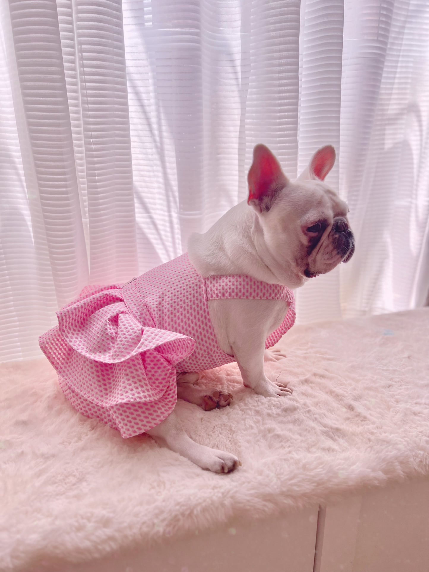 Pink Tutu Dress