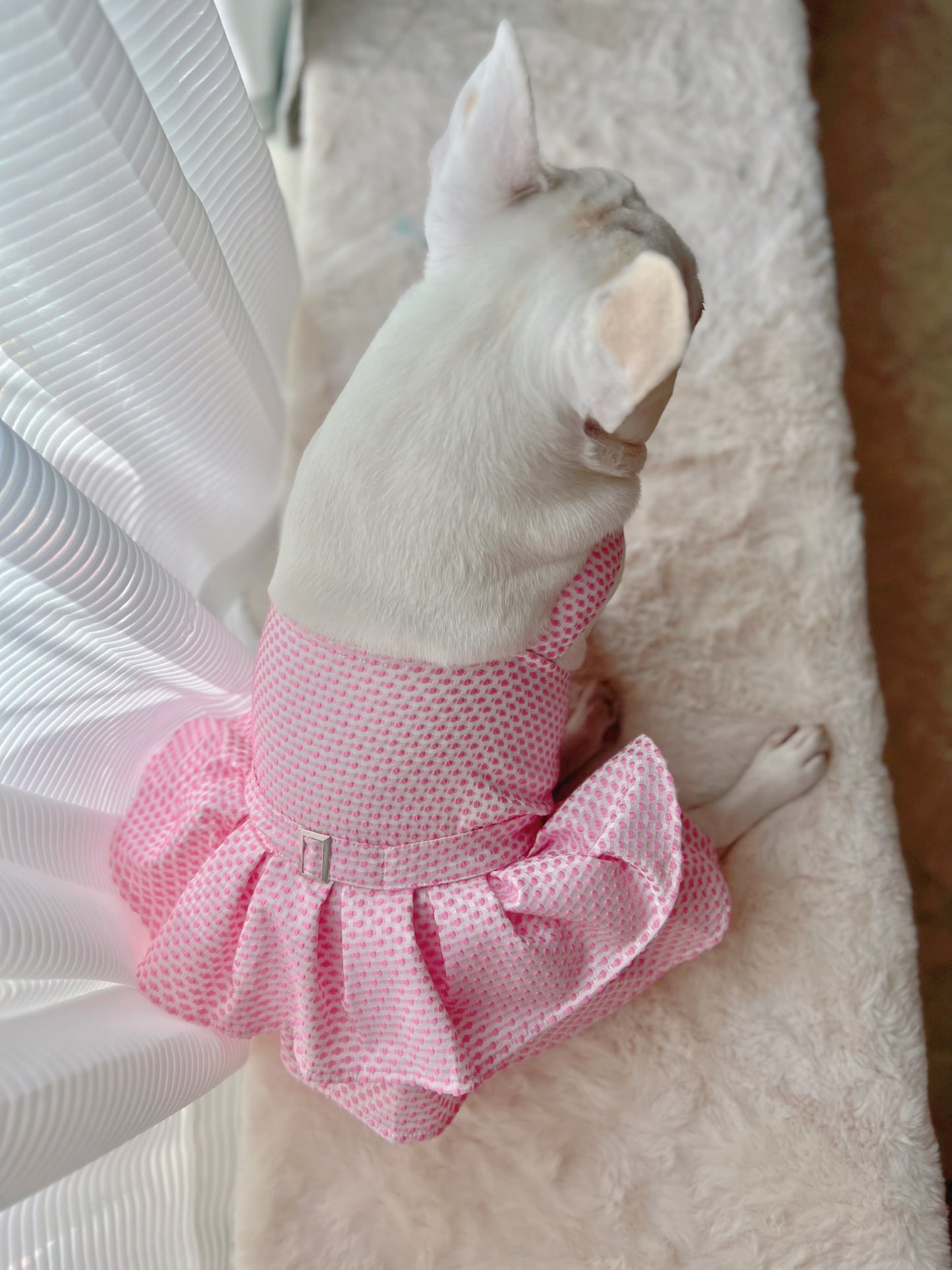 Pink Tutu Dress