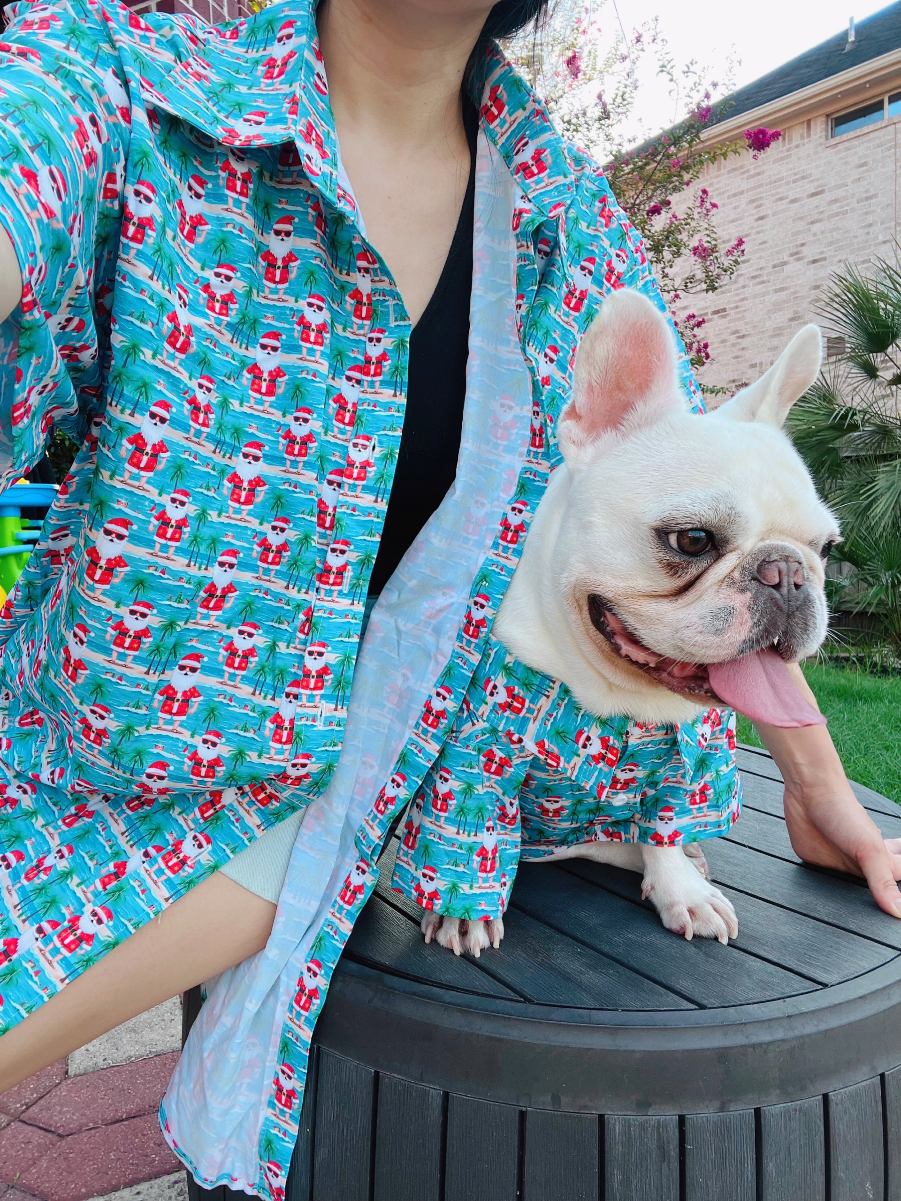 French bulldog best sale matching outfits