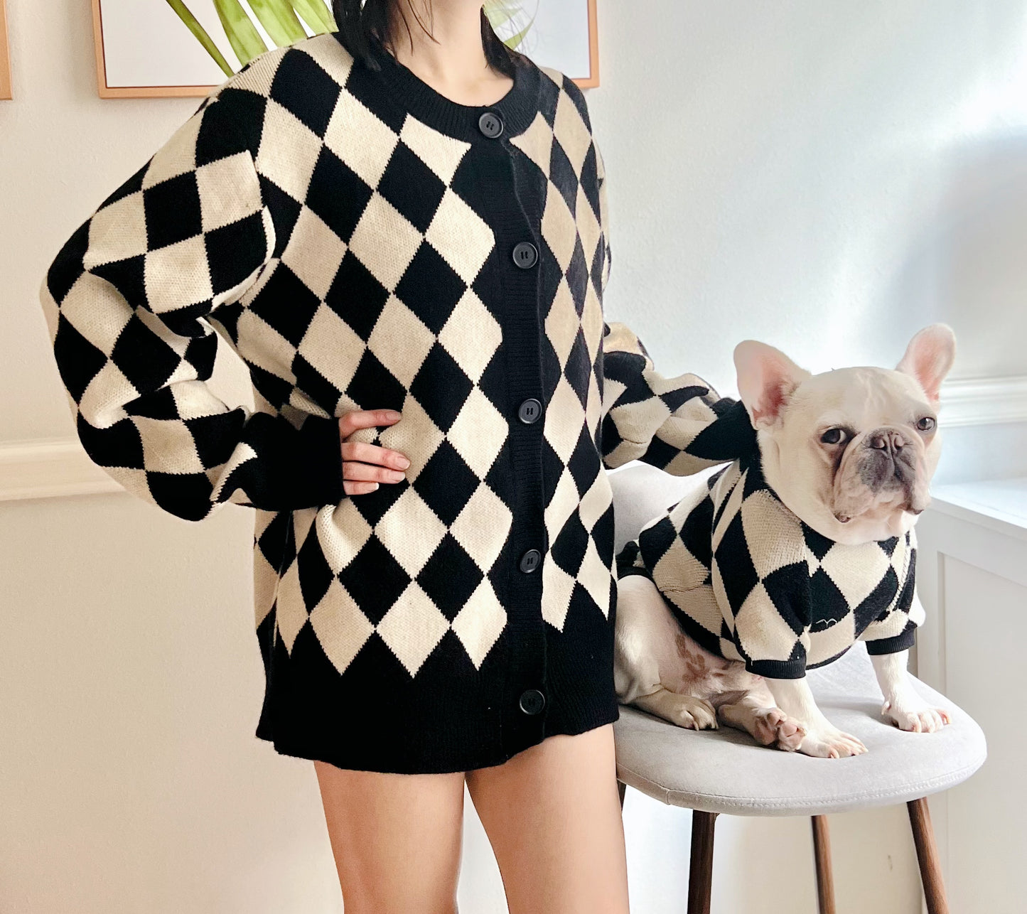 Black Diamond Owner Cardigan and Pet Matching Sweater