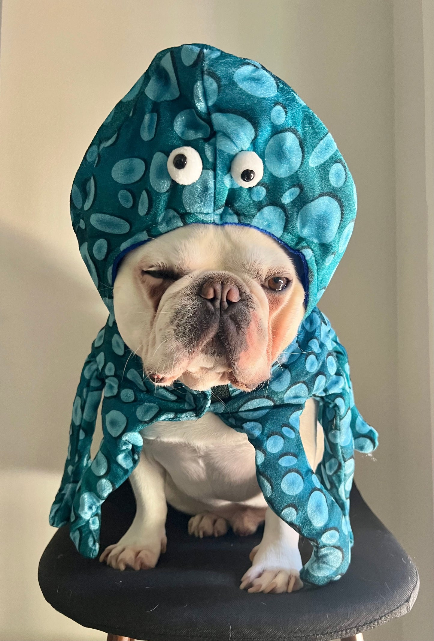 Pet Dog Cat Octopus Funny Halloween Costume Mascot