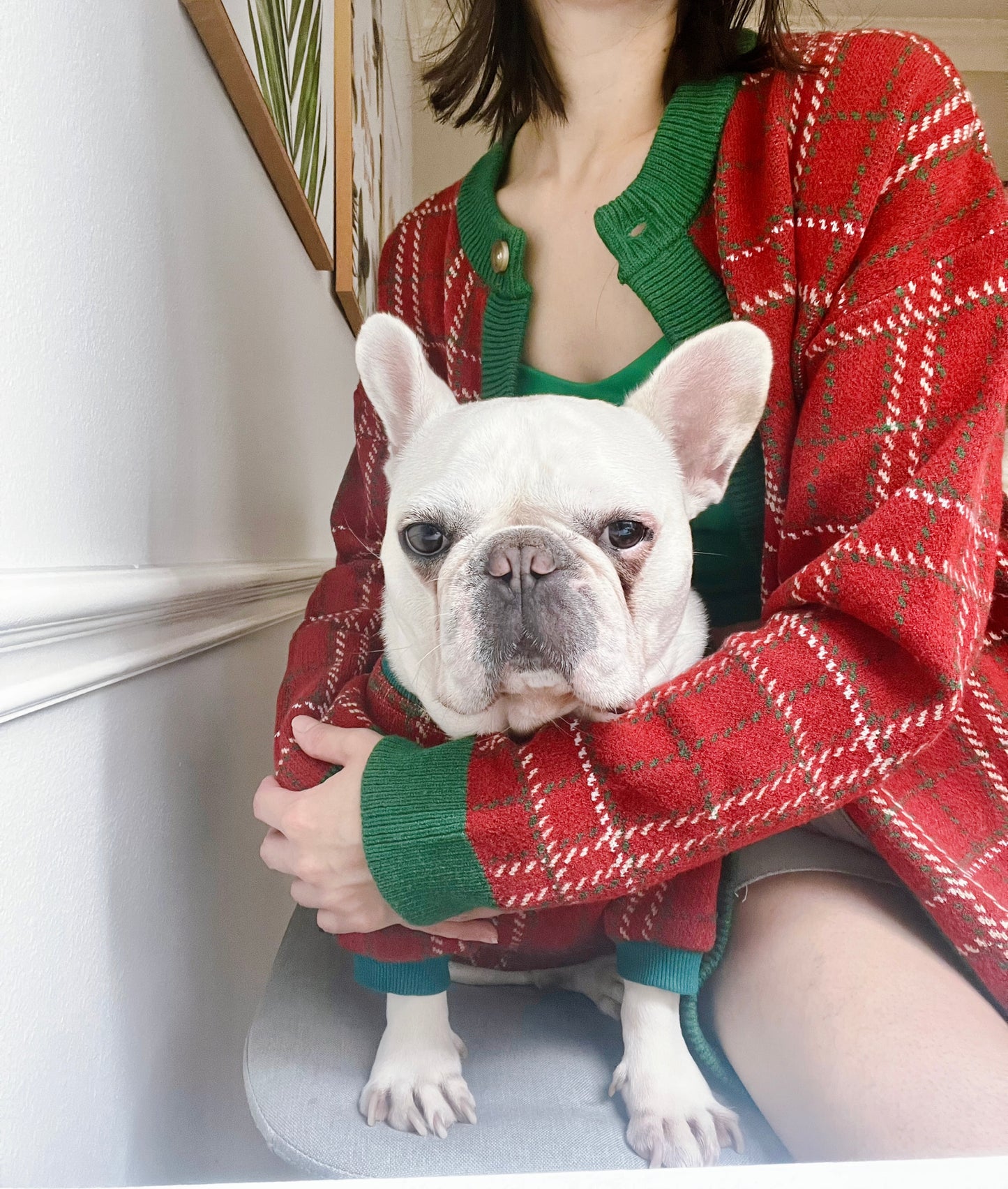 Knit Red Plaid Owner Cardigan and Pet Sweater Matching Set