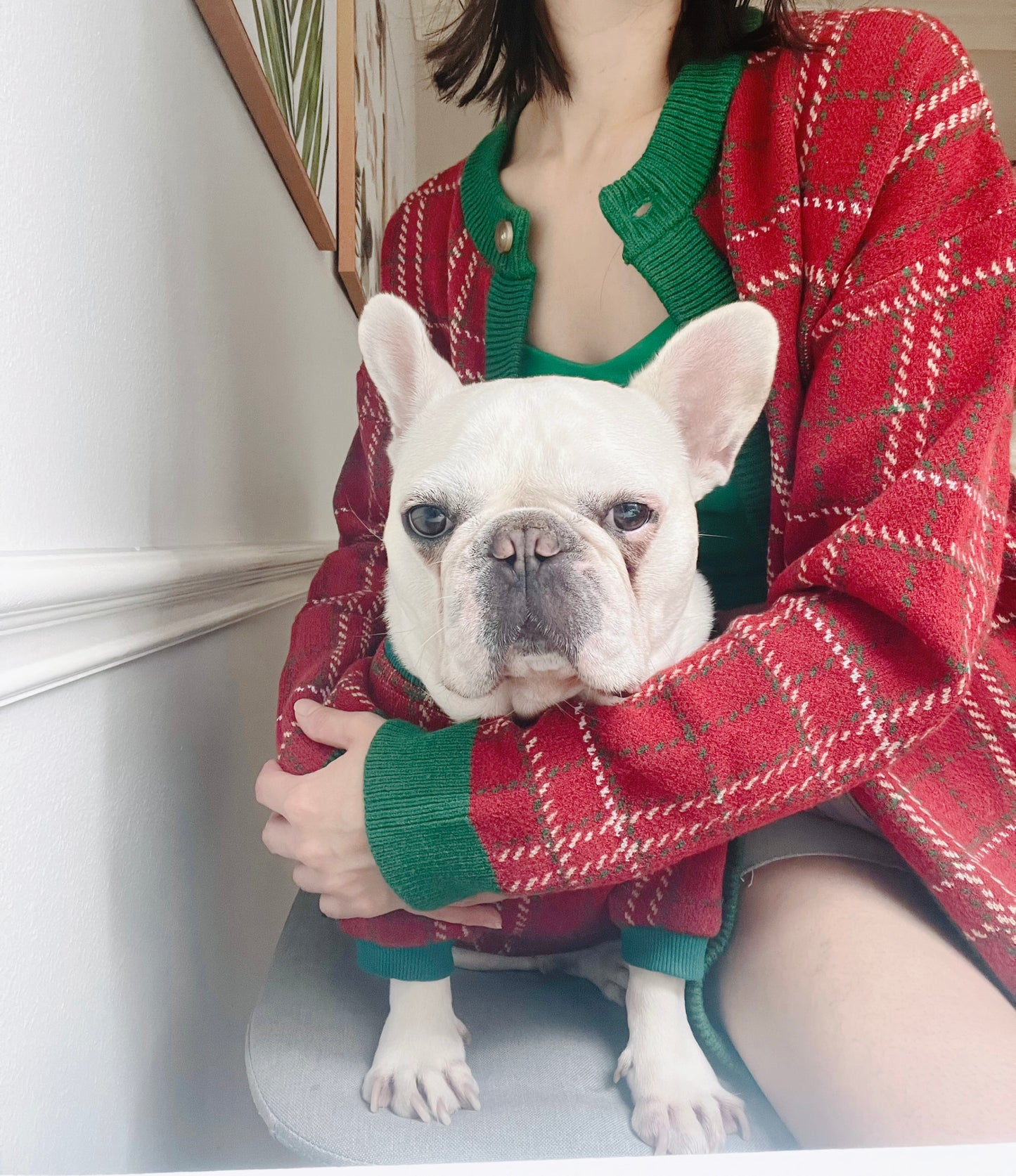 Knit Red Plaid Owner Cardigan and Pet Sweater Matching Set