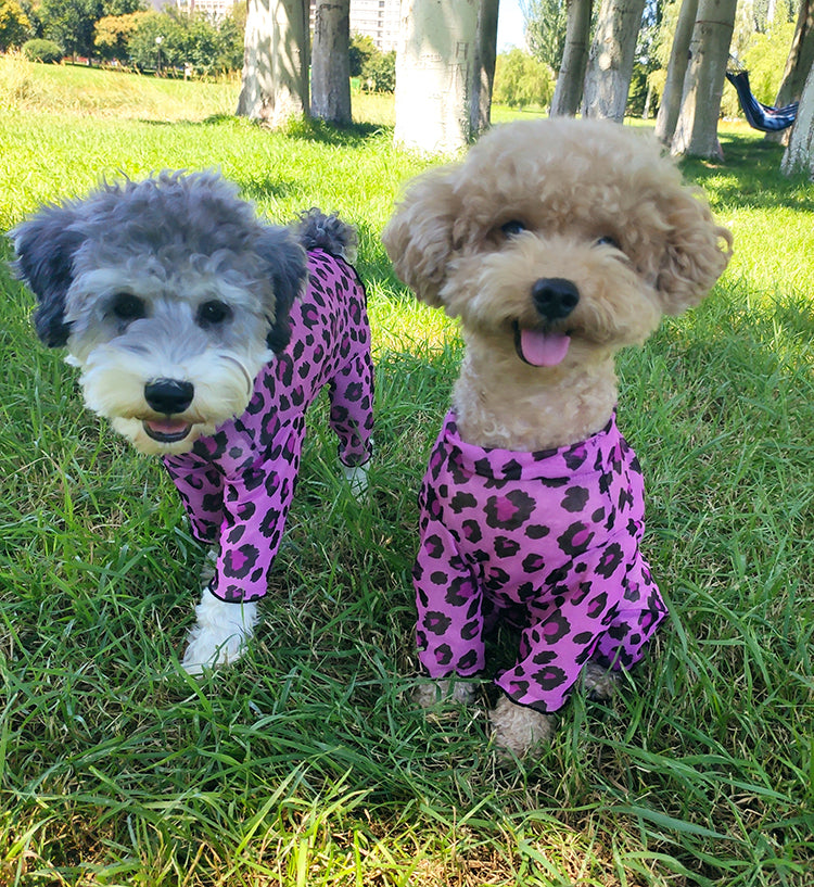 Dog and Cat with Sensitive Skin Sunblock Mesh Jumpsuit