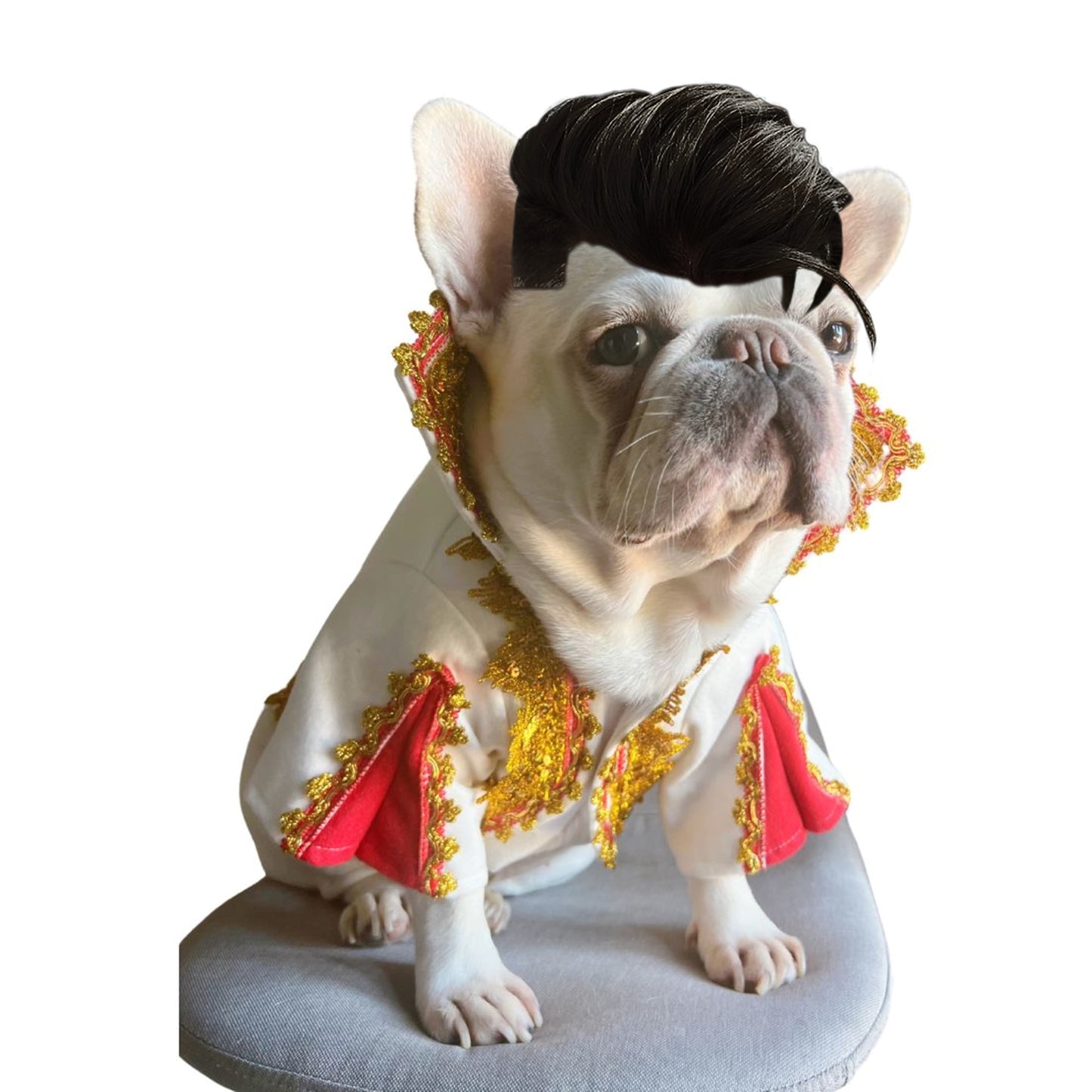 Elvis Presley Pet Cat Dog Halloween Costume