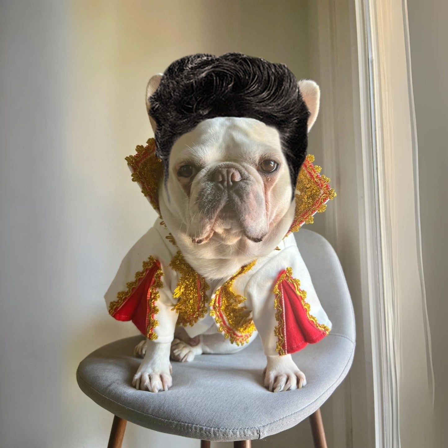 Elvis Presley Pet Cat Dog Halloween Costume