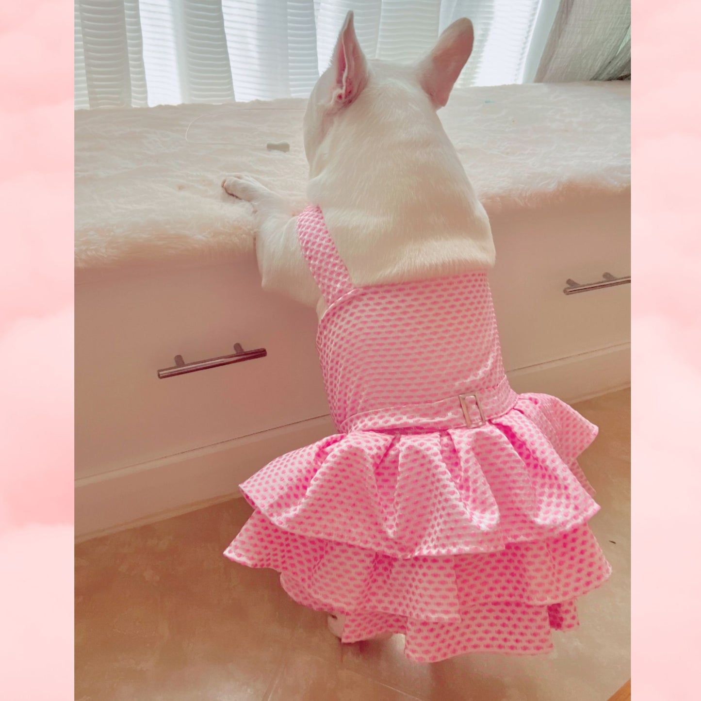 Pink Tutu Dress