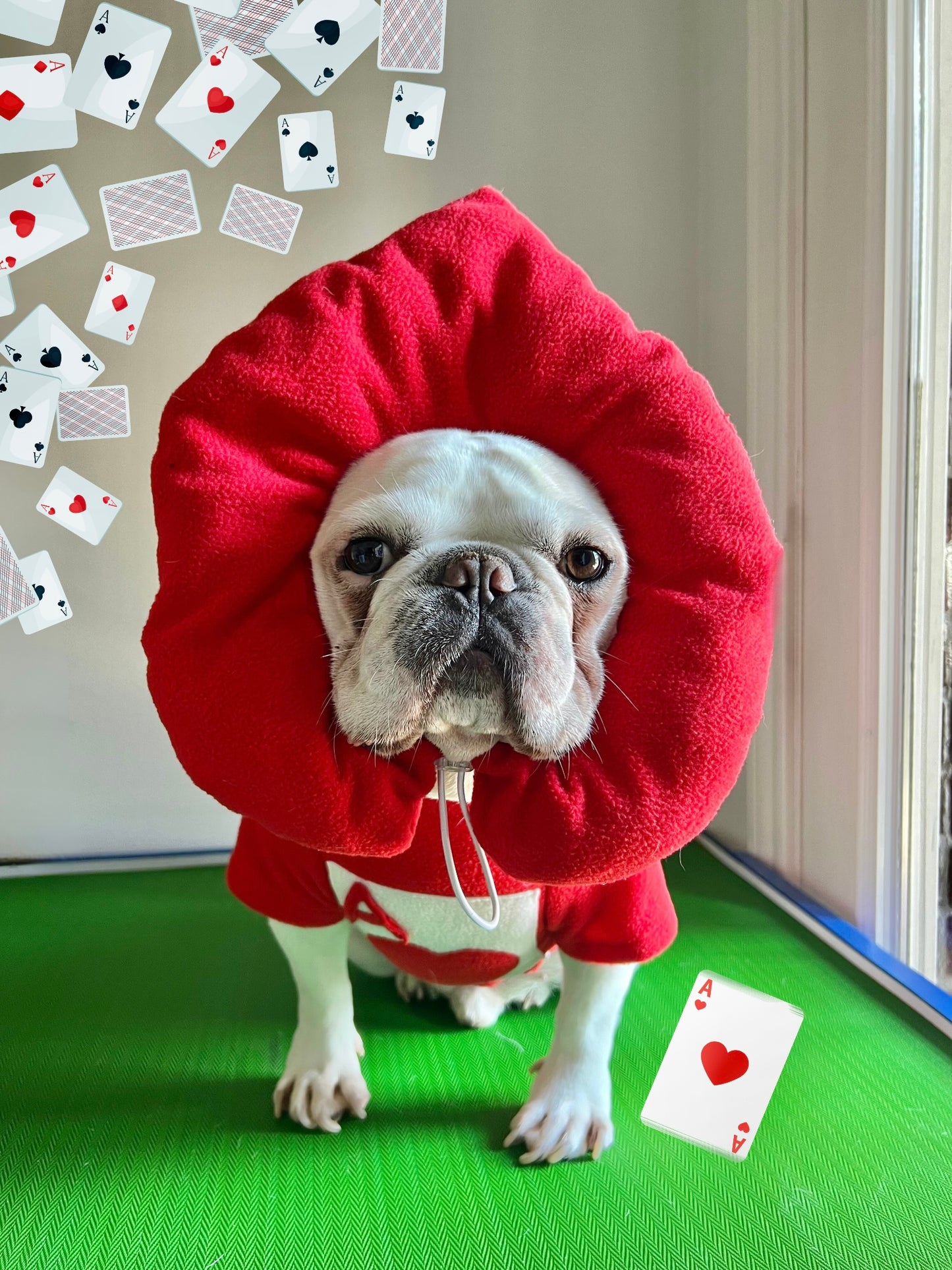 Poker Card Ace of Hearts Pup Pet Cat Dog Halloween Costume