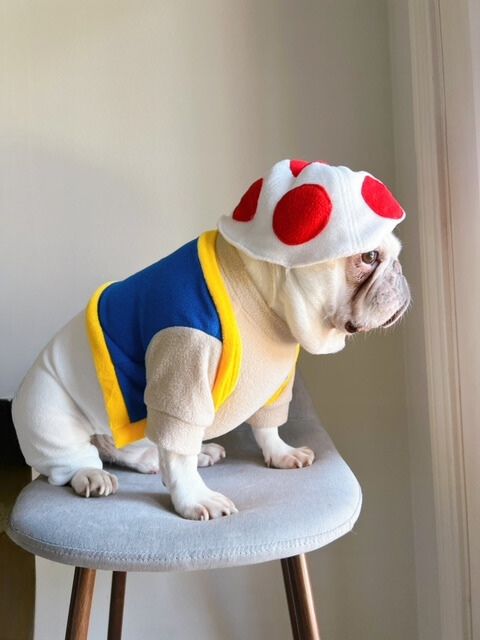 Super Mushroom Power Up Dog Cat Pet Halloween Costume