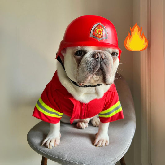 Firefighter Reflective Fire Chief Role Play Pet Cat Dog Halloween Costume