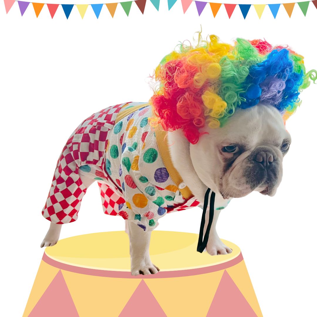 Halloween Carnival Clown Pup Pet Dog Cat Costume