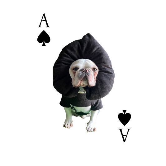 Poker Card Ace of Spades Pup Pet Cat Dog Halloween Costume