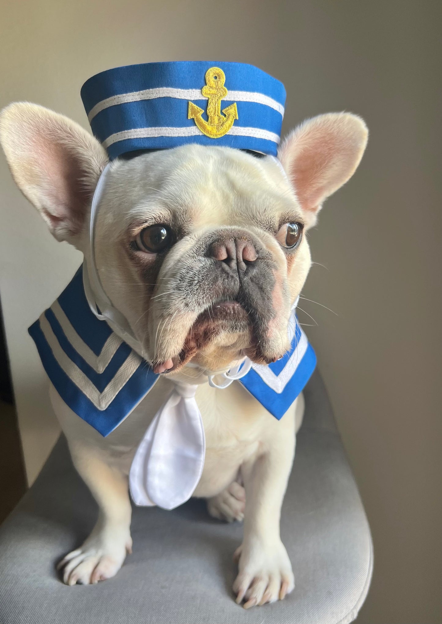 Halloween Deckhand Navy Blue Sailor Bandana and Hat Costume