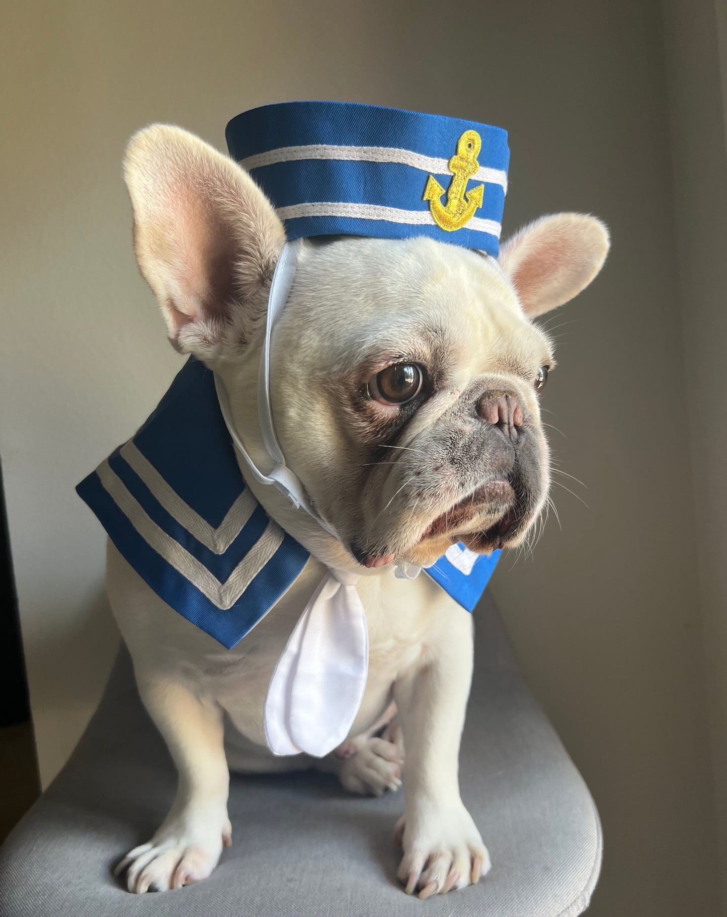 Halloween Deckhand Navy Blue Sailor Bandana and Hat Costume