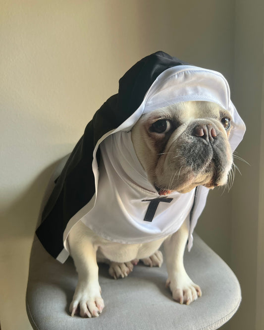 Nun Dog Cat Pet Religious Halloween Funny Costume
