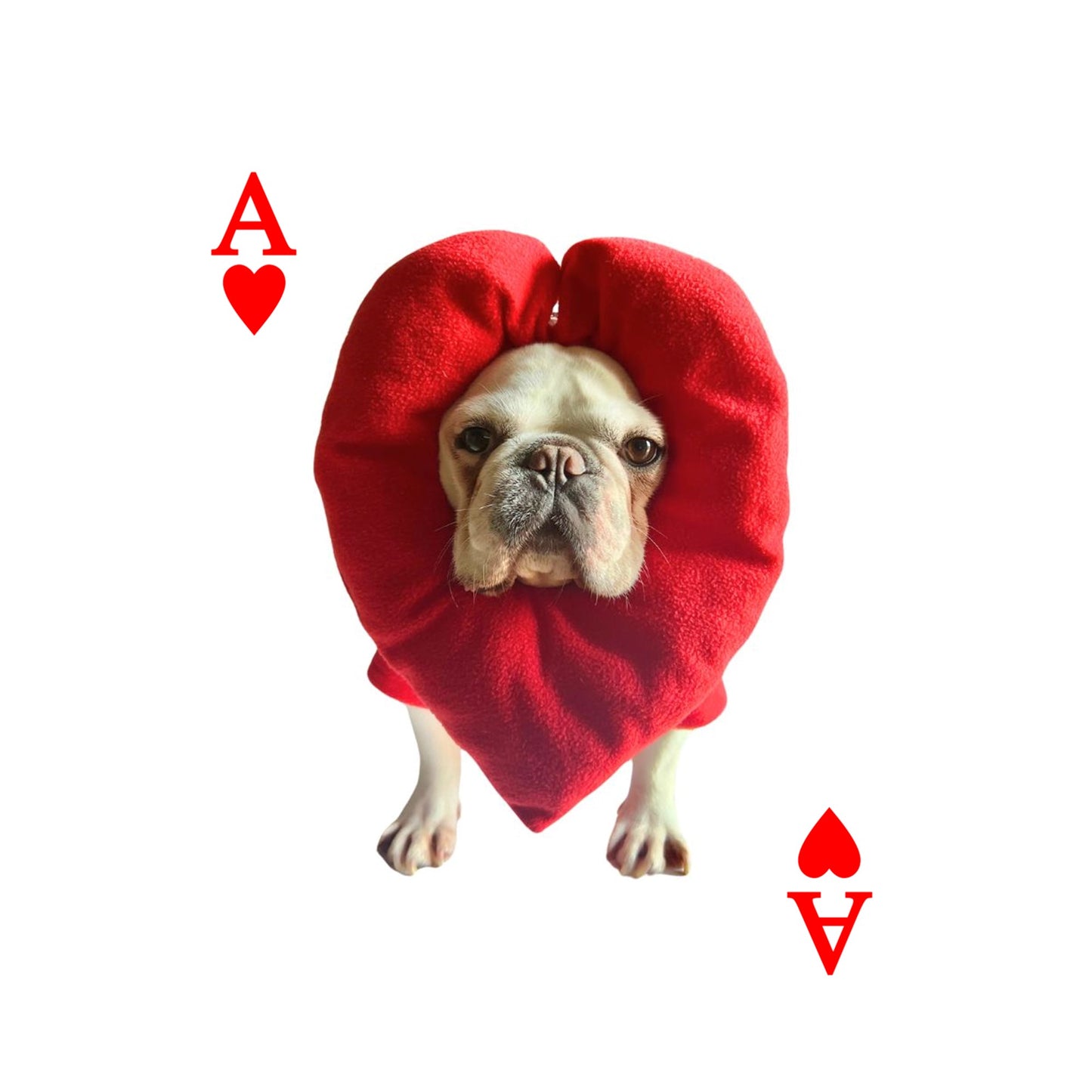 Poker Card Ace of Hearts Pup Pet Cat Dog Halloween Costume