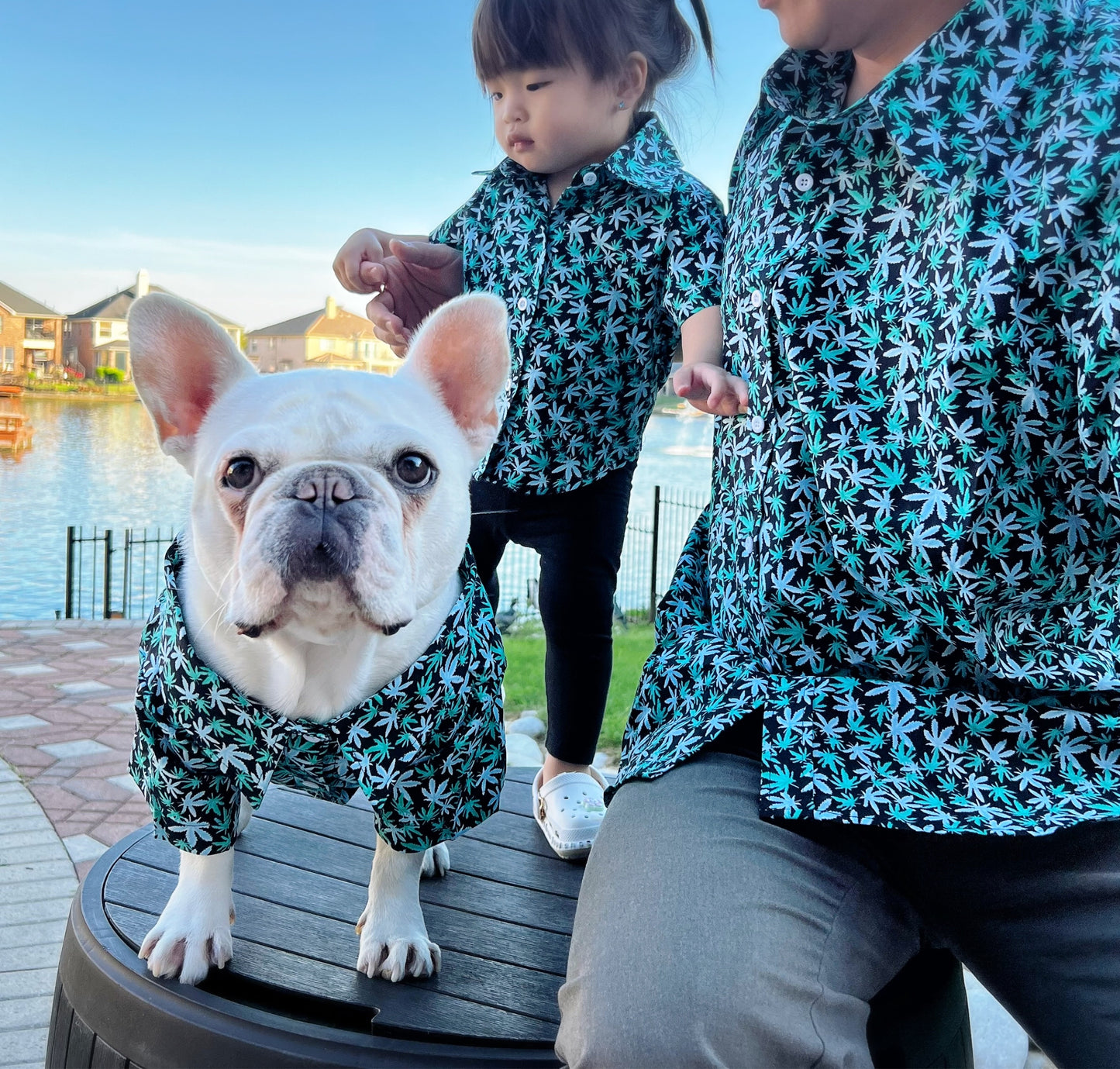 Marijuana 420 Weed Cannabis Owner and Pet Matching Button Shirt / Bandana