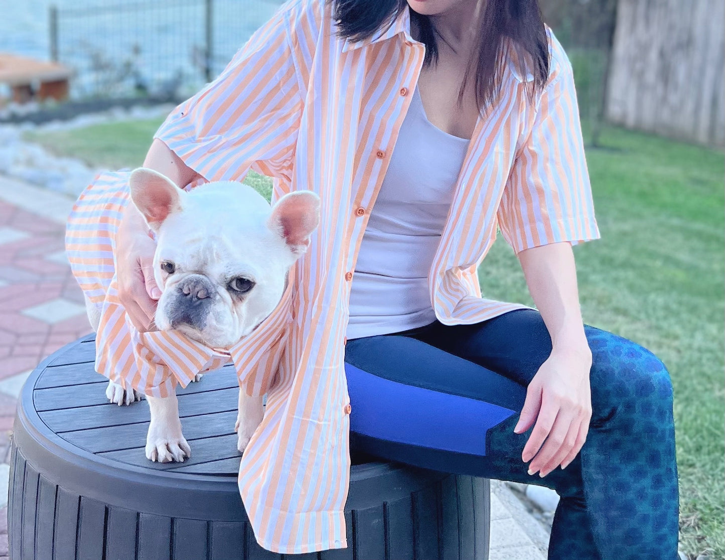 Classic Striped Owner and Pet Matching Button Shirt / Bandana